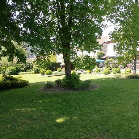 Chez Marlyse-Chambres Et Table D'Hotes Saint-Maurice-sur-Moselle Esterno foto